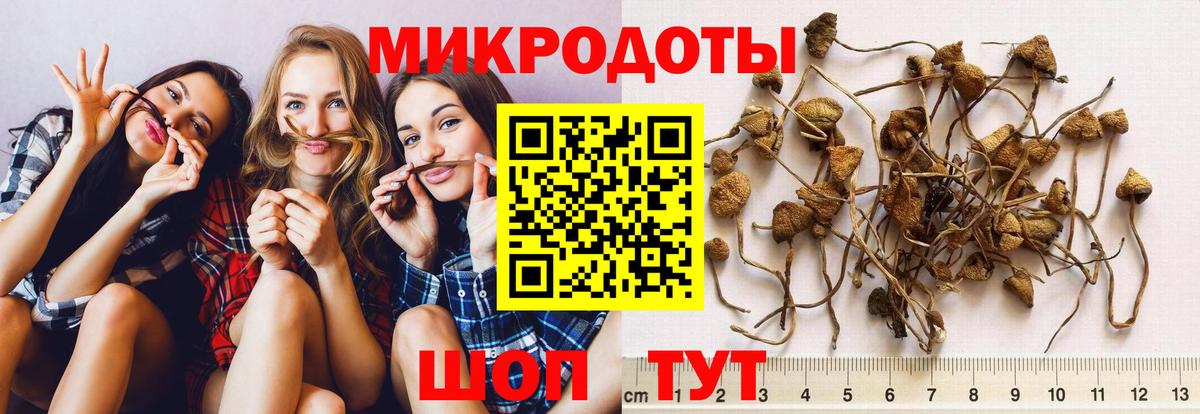 Томск  Галлюциногенные грибы прущие грибы  Вход с VPN 